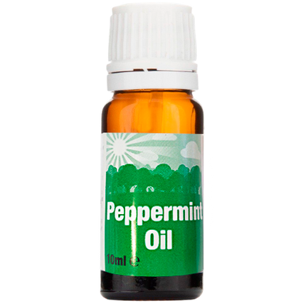 Peach Peppermint Oil 10ml