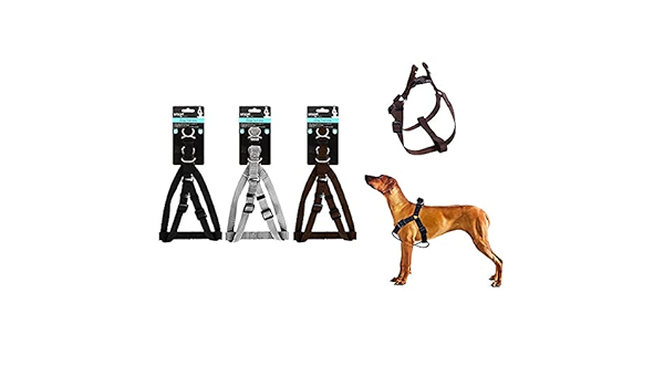 Smart Choice Dog Harness 27 cm x 45 cm Assorted Colours