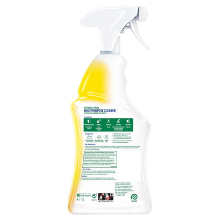 Dettol Power & Fresh Citrus Spray 1L