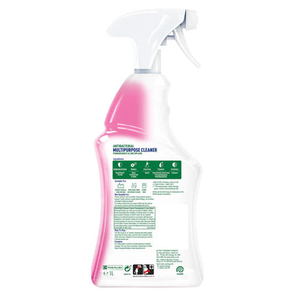 Dettol Power & Fresh Pomegranate Spray 1L