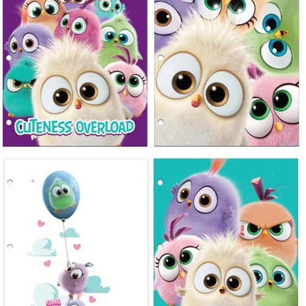 Hatchling Portfolio