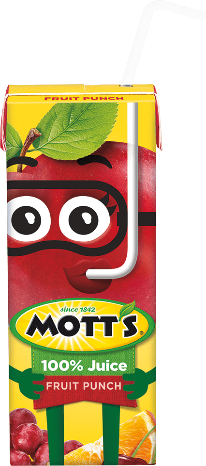 Motts Fruit Punch 100%juice 125ml