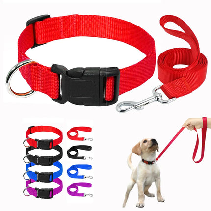 Dog Lead & Collar Set Medium