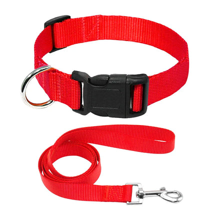 Dog Lead & Collar Set Medium