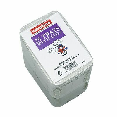 Caroline Plastic Tubs with Lid 500ml