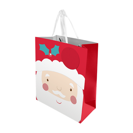 Christmas Cute Luxury Gift Bag Med Asst XMA5822