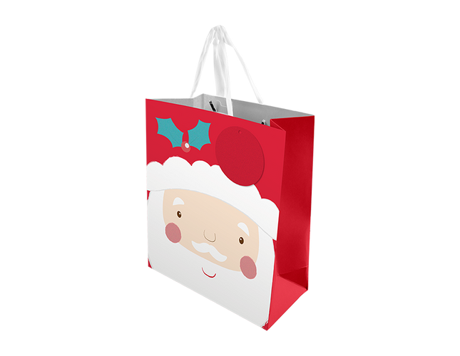 Christmas Cute Luxury Gift Bag Med Asst XMA5822